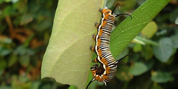 骚扰手机号呼叫软件